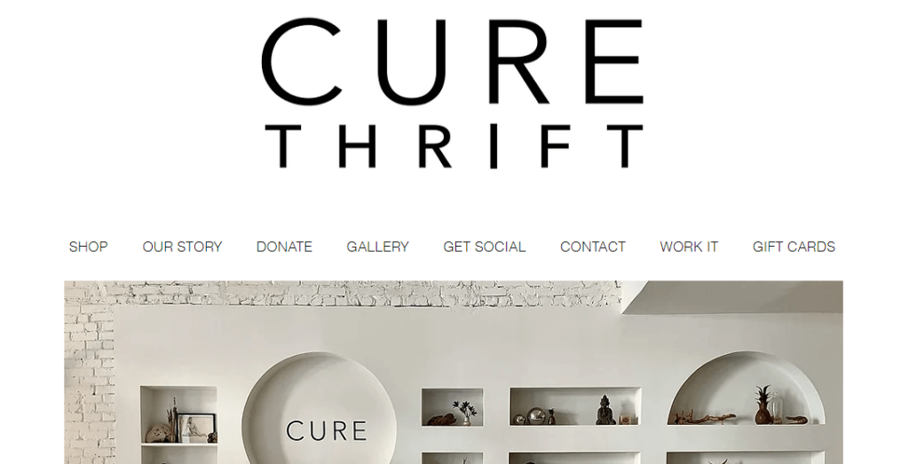 Homepage of the Cure Thrift Store website /
Link: https://www.curethriftshop.com/