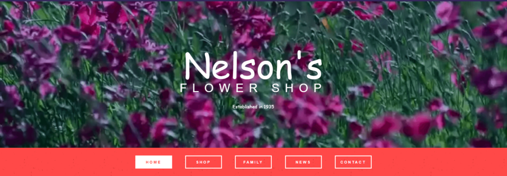 Homepage of Nelson's Flower Shop website / nelsonflowershop.com

Link: https://nelsonflowershop.com

